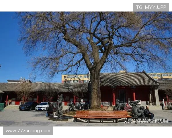 1916娱乐：探寻百年间的文化变迁与娱乐发展